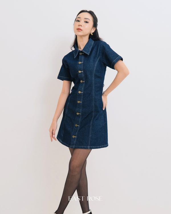 Sapphire Dress
