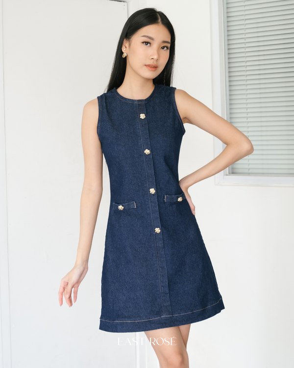 Easton Denim Dress