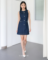 Easton Denim Dress